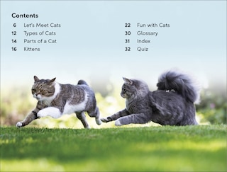 Sample content 3_DK Super Readers Level 2 Cats and Kittens
