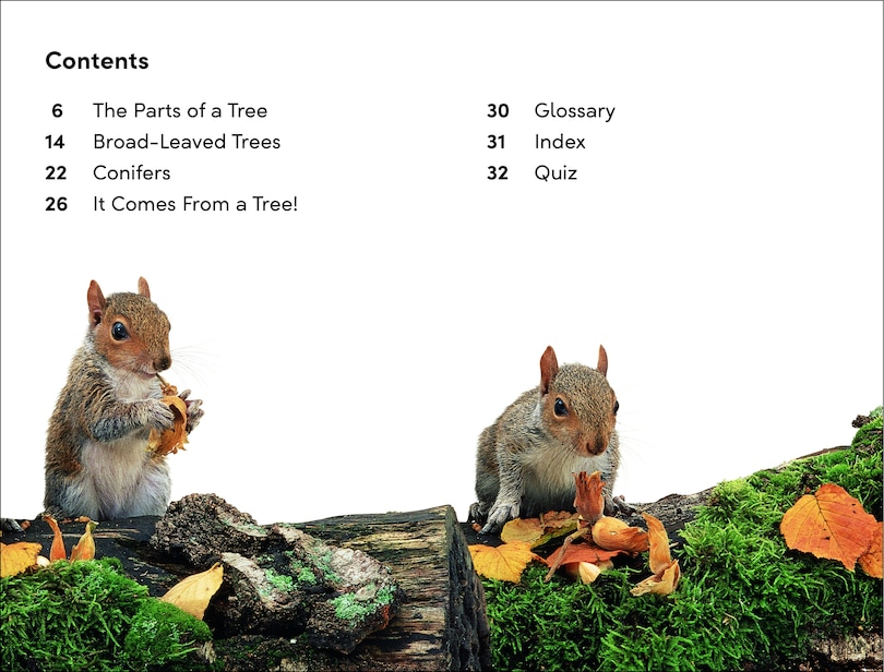 Sample content_DK Super Readers Level 2 The Secret Life of Trees