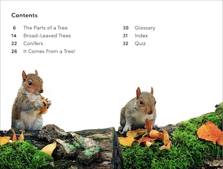 Sample content_DK Super Readers Level 2 The Secret Life of Trees