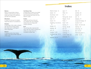Aper&ccedil;u du contenu_DK Super Readers Level 2 Journey of a Humpback Whale
