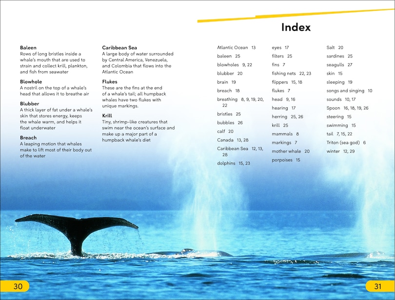 Aper&ccedil;u du contenu_DK Super Readers Level 2 Journey of a Humpback Whale