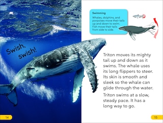 Aper&ccedil;u du contenu 2_DK Super Readers Level 2 Journey of a Humpback Whale