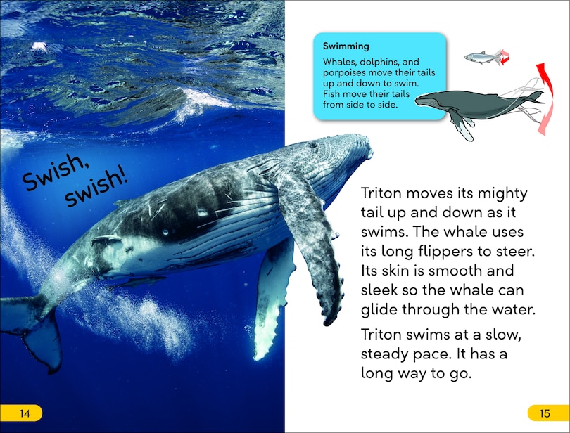 Aper&ccedil;u du contenu 2_DK Super Readers Level 2 Journey of a Humpback Whale