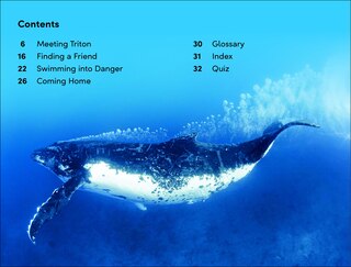 Aper&ccedil;u du contenu 3_DK Super Readers Level 2 Journey of a Humpback Whale