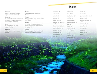 Sample content_DK Super Readers Level 2 Bugs and Us