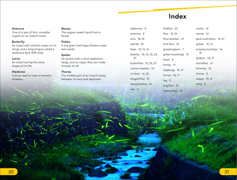 Sample content_DK Super Readers Level 2 Bugs and Us