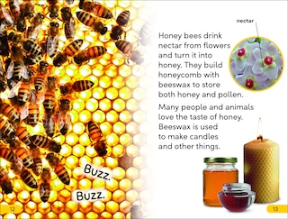 Sample content 2_DK Super Readers Level 2 Bugs and Us