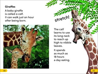 Aper&ccedil;u du contenu 2_DK Super Readers Level 2 Wild Baby Animals