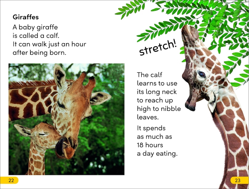 Aper&ccedil;u du contenu 2_DK Super Readers Level 2 Wild Baby Animals