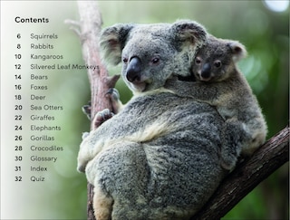 Aper&ccedil;u du contenu 3_DK Super Readers Level 2 Wild Baby Animals