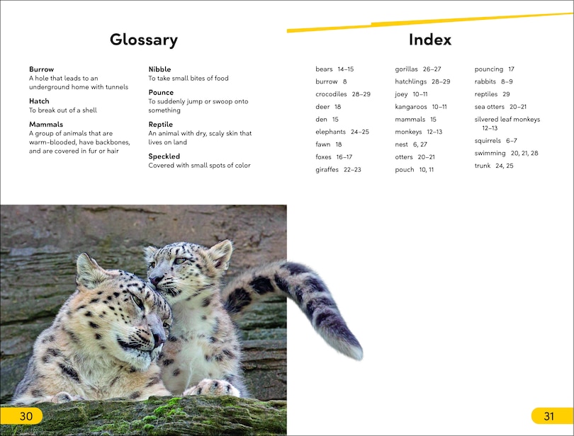 Aper&ccedil;u du contenu_DK Super Readers Level 2 Wild Baby Animals