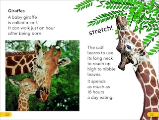 Aper&ccedil;u du contenu 2_DK Super Readers Level 2 Wild Baby Animals