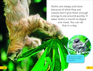 Sample content 2_DK Super Readers Level 2 Sloths