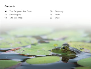 Sample content_DK Super Readers Level 2 Tale of a Tadpole