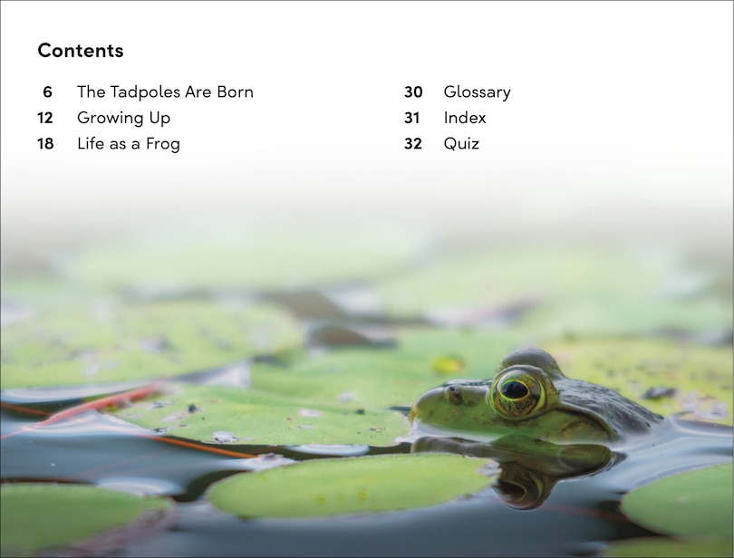 Sample content_DK Super Readers Level 2 Tale of a Tadpole