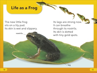 Sample content 3_DK Super Readers Level 2 Tale of a Tadpole