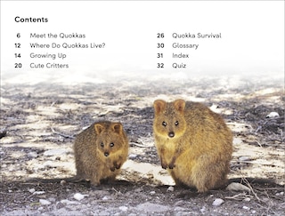 Aperçu du contenu_DK Super Readers Level 2 Quokkas