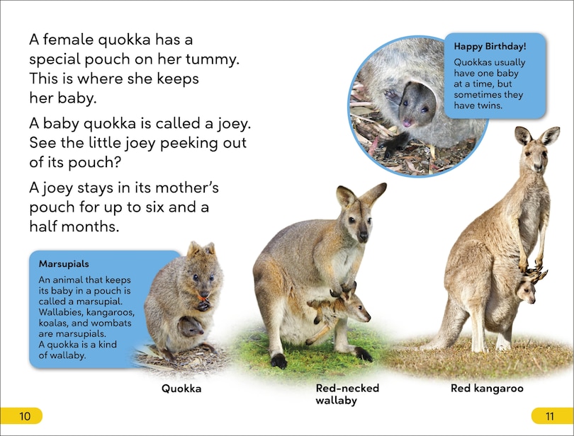 Aperçu du contenu 2_DK Super Readers Level 2 Quokkas