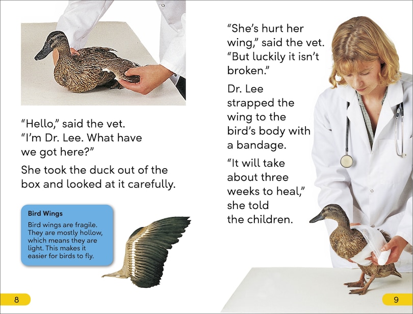 Sample content 2_DK Super Readers Level 2 Animal Hospital