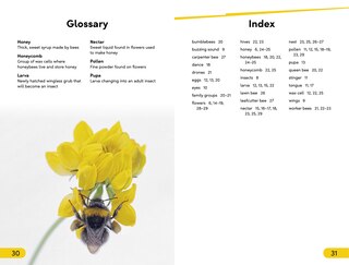 Sample content_DK Super Readers Level 2 Amazing Bees