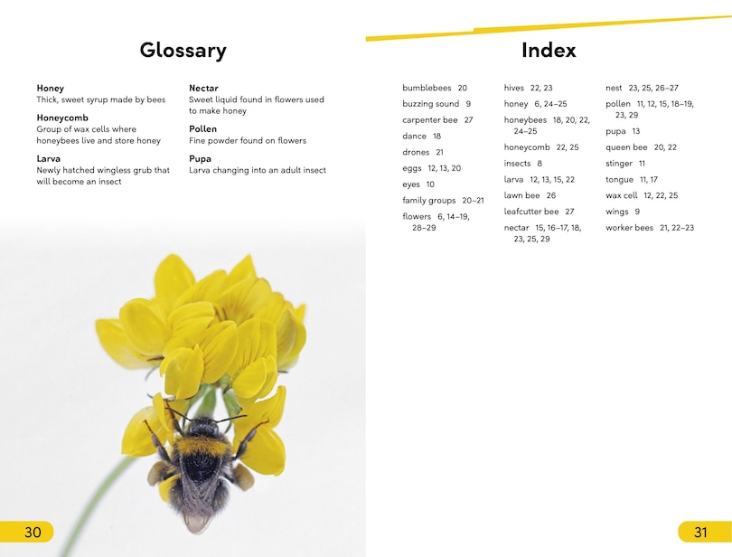 Sample content_DK Super Readers Level 2 Amazing Bees
