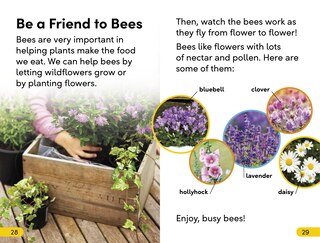 Sample content 2_DK Super Readers Level 2 Amazing Bees