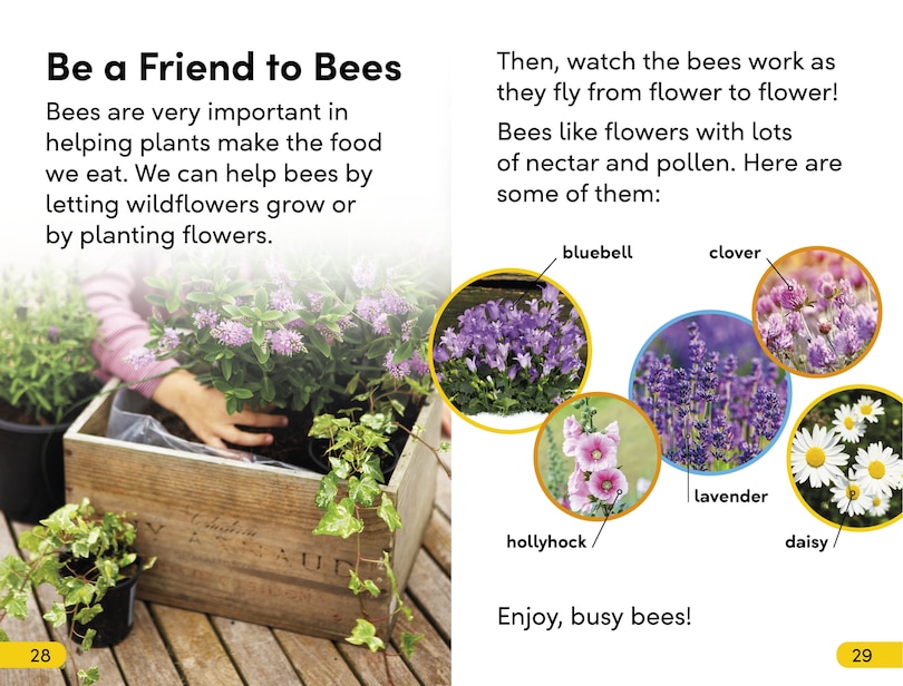 Sample content 2_DK Super Readers Level 2 Amazing Bees