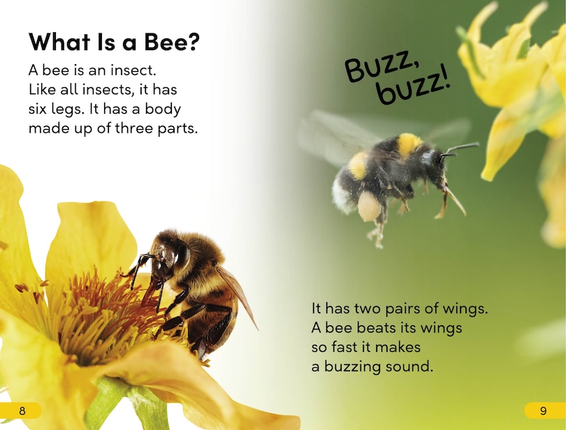 Sample content 3_DK Super Readers Level 2 Amazing Bees