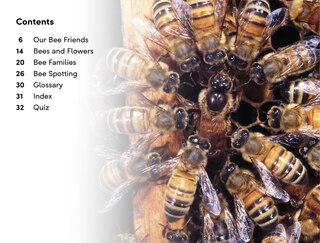 Sample content 4_DK Super Readers Level 2 Amazing Bees