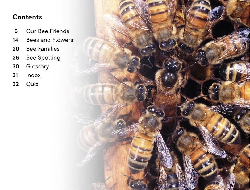 Sample content 4_DK Super Readers Level 2 Amazing Bees