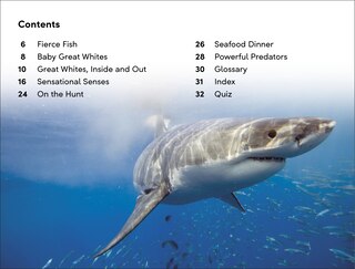 Aperçu du contenu_DK Super Readers Level 2 Great White Sharks