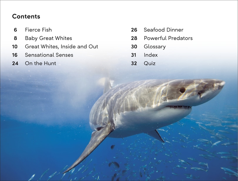 Aperçu du contenu_DK Super Readers Level 2 Great White Sharks