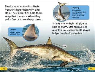 Aperçu du contenu 2_DK Super Readers Level 2 Great White Sharks