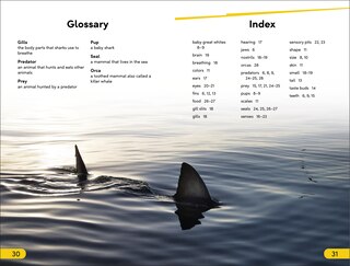 Aperçu du contenu 4_DK Super Readers Level 2 Great White Sharks