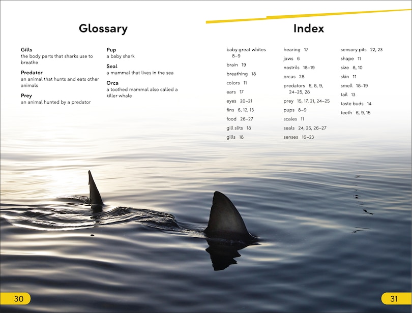 Aperçu du contenu 4_DK Super Readers Level 2 Great White Sharks