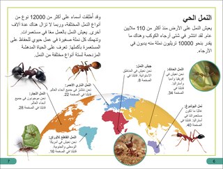 Sample content 2_DK Super Readers Level 3 Ant Antics (Arabic translation)