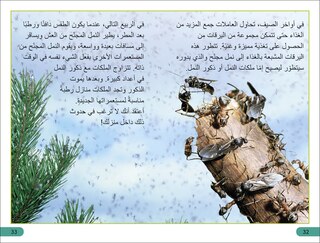 Sample content 3_DK Super Readers Level 3 Ant Antics (Arabic translation)