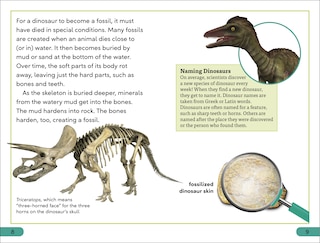 Sample content 3_DK Super Readers Level 3 Dinosaurs Discovered