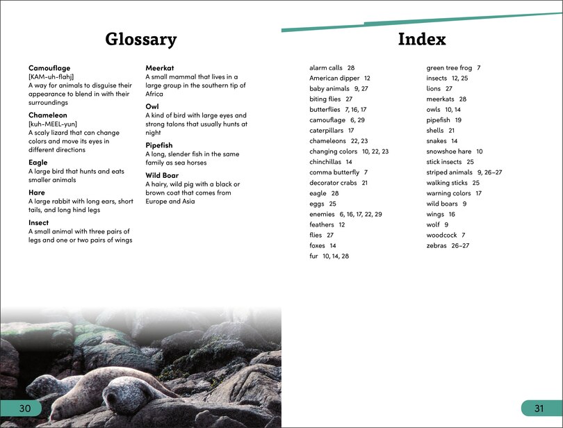 Sample content_DK Super Readers Level 3 Animal Hide and Seek