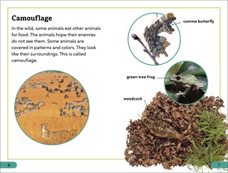 Sample content 3_DK Super Readers Level 3 Animal Hide and Seek