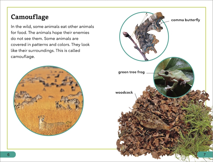 Sample content 3_DK Super Readers Level 3 Animal Hide and Seek