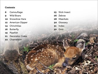 Sample content 4_DK Super Readers Level 3 Animal Hide and Seek