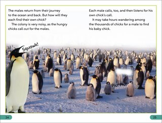 Aperçu du contenu 3_DK Super Readers Level 3 Emperor Penguins