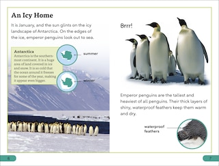 Sample content 2_DK Super Readers Level 3 Emperor Penguins