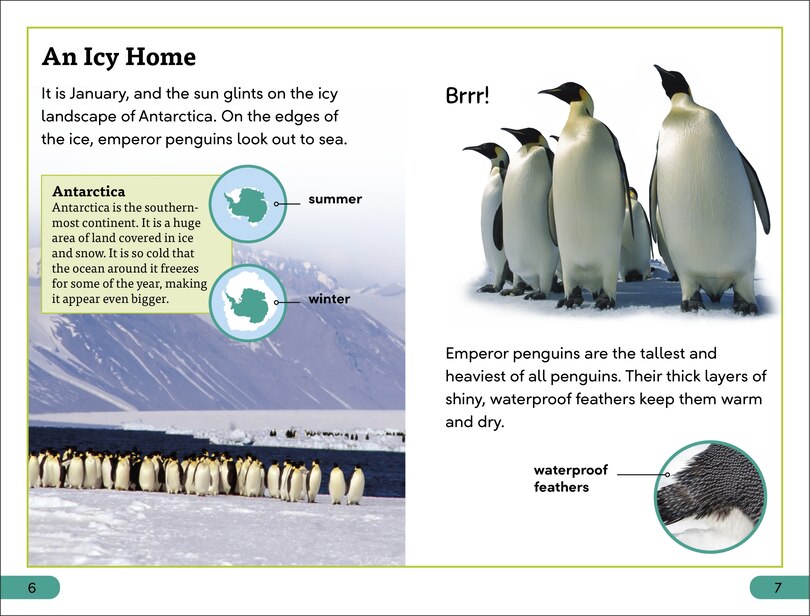 Sample content 2_DK Super Readers Level 3 Emperor Penguins