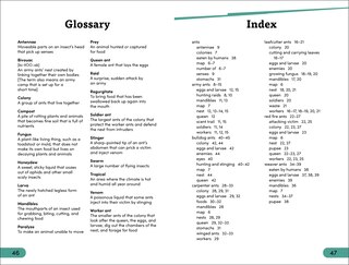 Sample content_DK Super Readers Level 3 Ant Antics