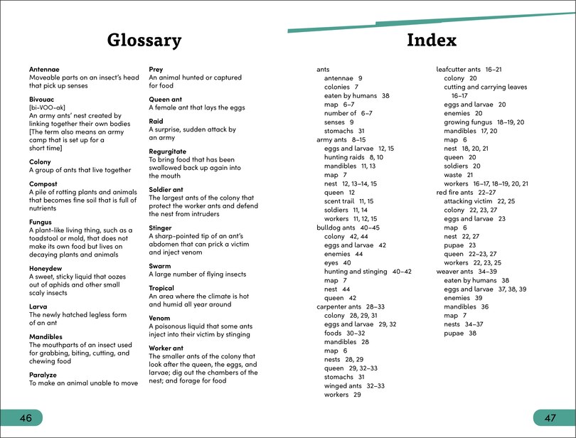 Sample content_DK Super Readers Level 3 Ant Antics