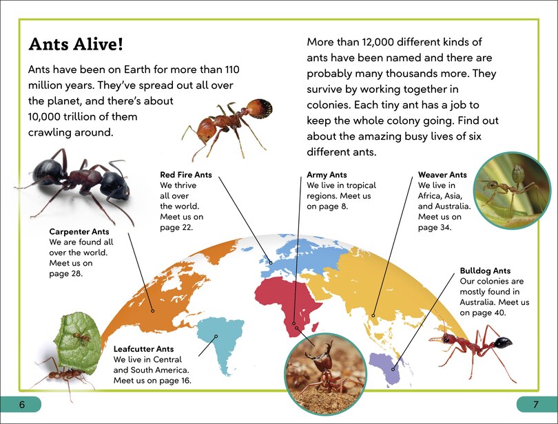 Sample content 3_DK Super Readers Level 3 Ant Antics