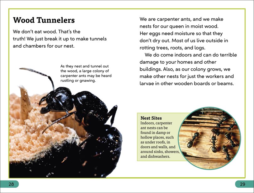 Sample content 2_DK Super Readers Level 3 Ant Antics