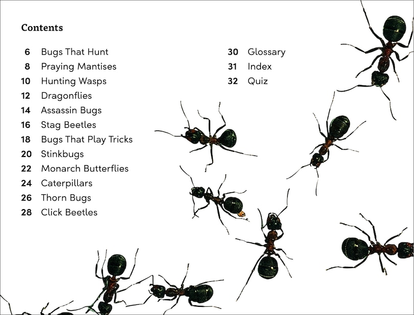 Sample content 3_DK Super Readers Level 3 Bugs! Bugs! Bugs!